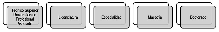 Figura 2. Niveles educativos de la educación superior en el Estado mexicano