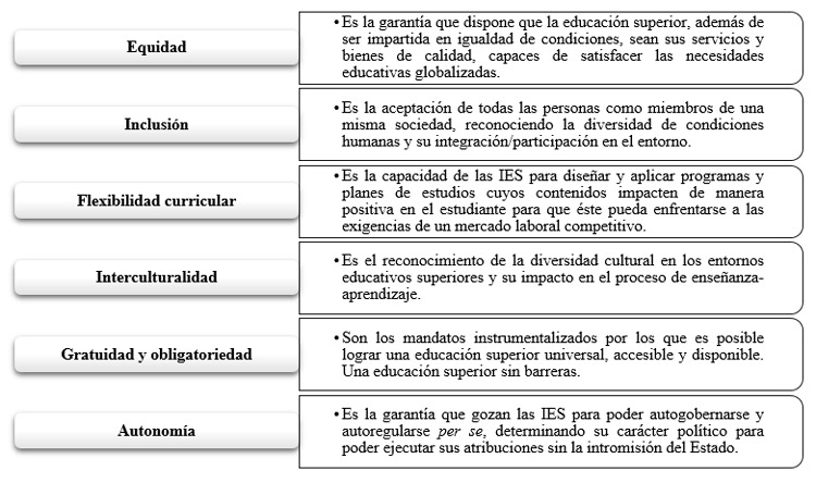 Figura 3. Principios fundamentales de la educación superior como derecho humano