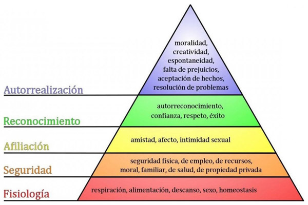 Gráfico 5. La pirámide de Maslow y las necesidades sociales