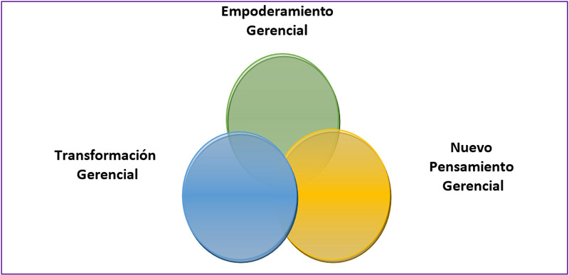 Figura 1. Estructura descriptiva general: Categorías emergentes