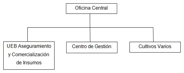 Figura 1. Unidades de Base