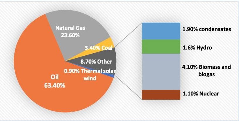 Figura 1. Composición efectiva de producción de energía primaria de México (%) Sobre la base de la producción de 2014 de 8.854 Petajules* (Un petajulio = 238,845.9 gigacalorías)