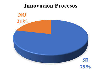 Figura 2. Innovación Proceso