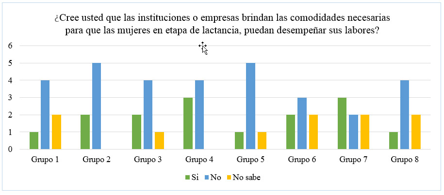 Figura 3. Comodidades que brindan las empresas a las mujeres lactantes