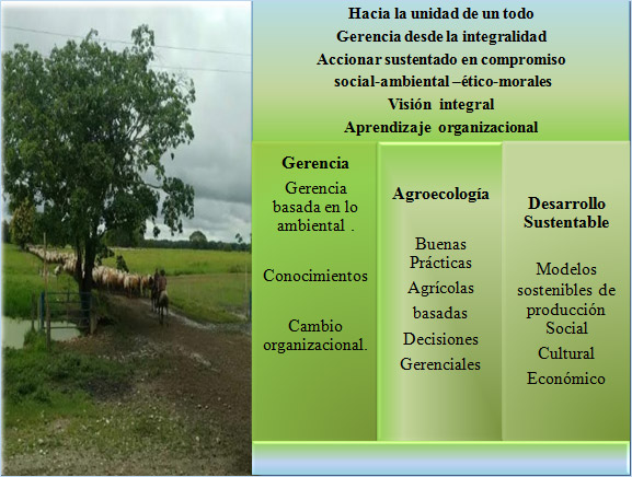 Figura 2. Entramado teórico gerencial desde la perspectiva de los actores sociales