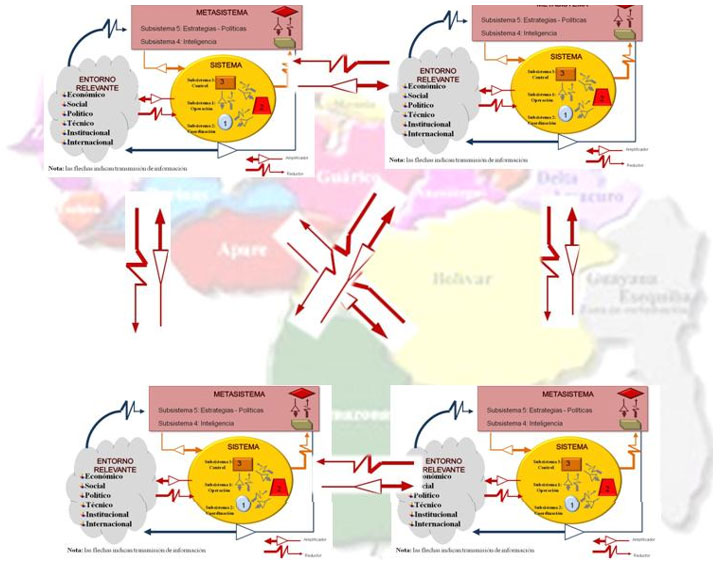 Figura 1. Transcomplejidad y organizaciones transcomplejas