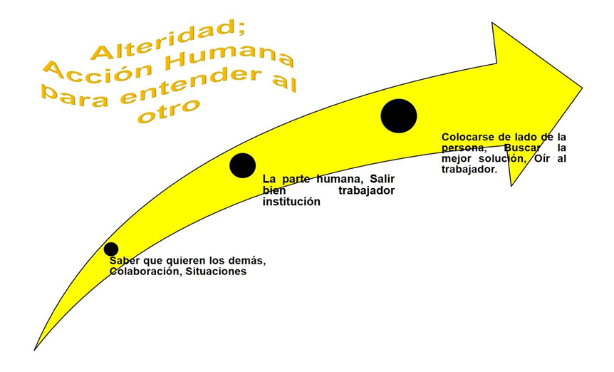 Gráfico 1. Representación gráfica de la Alteridad según los testimonios de los actores sociales