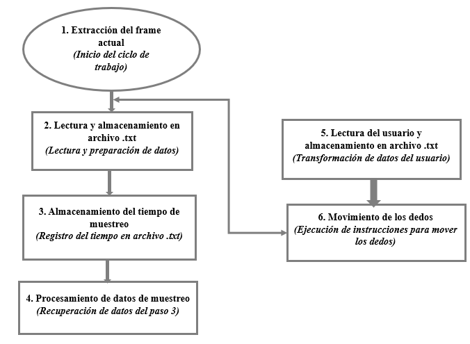 Figura 3. Ciclo de trabajo de la mano robótica