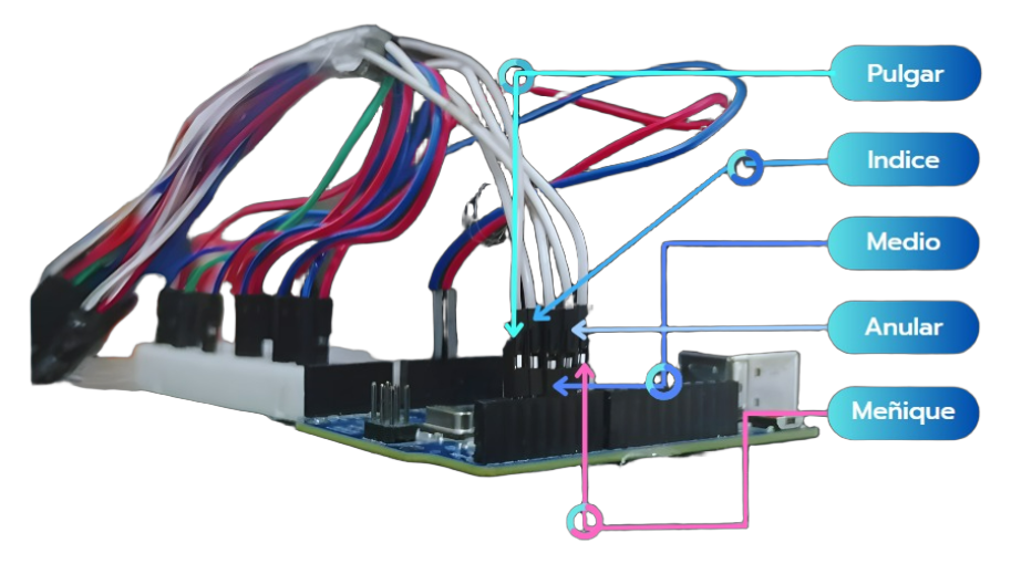 Figura 5. Diagrama de conexiones placa Arduino